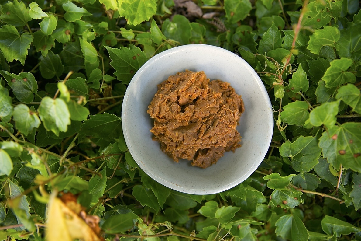 제주 푸른콩을 이용해 담근 제주물마루콩된장